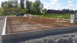Haga Äng 20150527 (31)